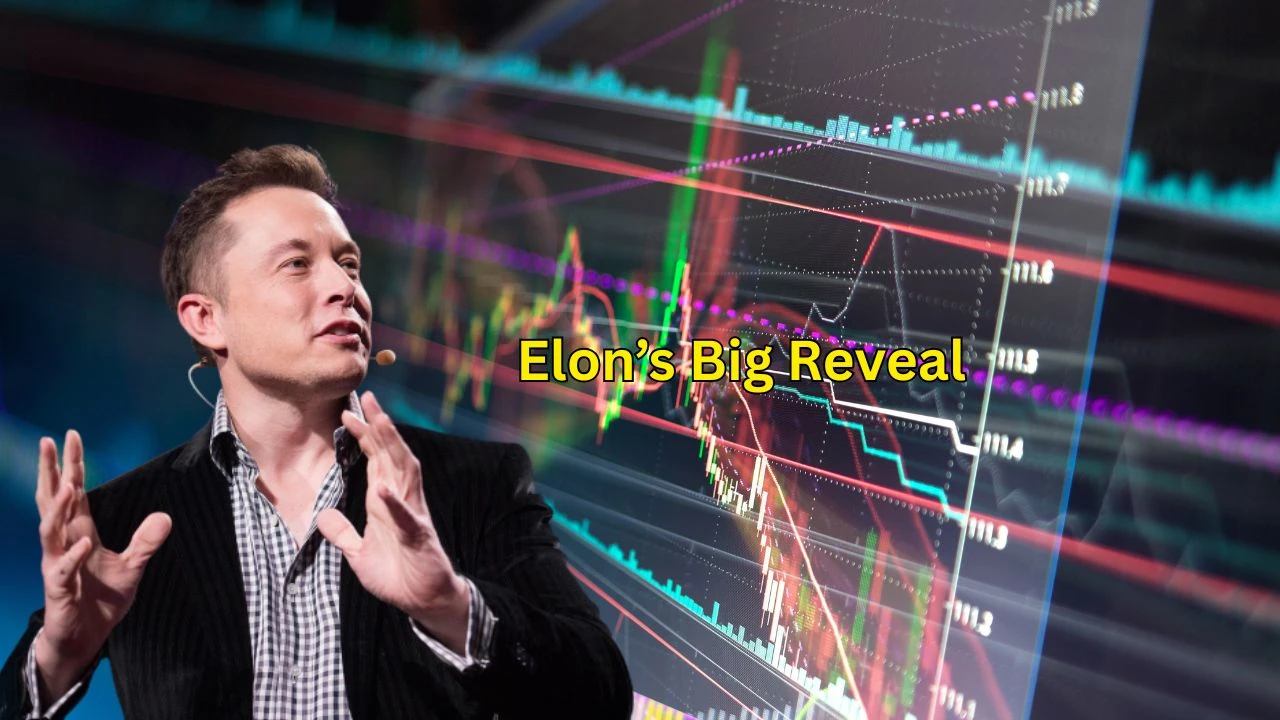 Tesla-Conference-Call